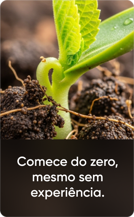 Comece do zero, mesmo sem experiência